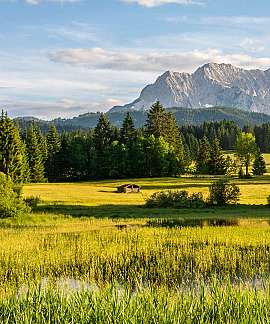 Weite grüne Wiesen vor bewaldeten Hügeln und einem felsigen Berg unter blauem Himmel.
